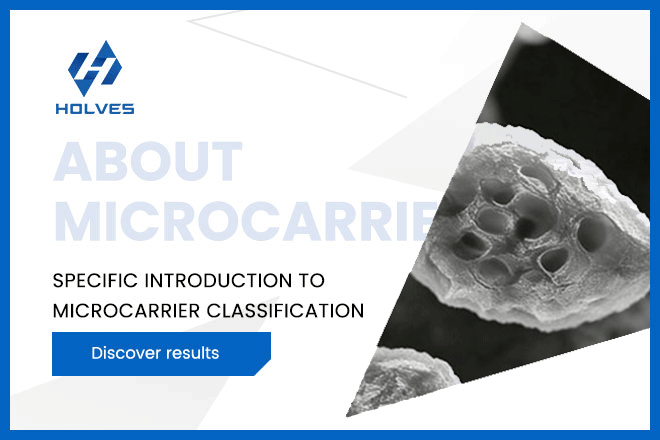 <b>细胞培养微载体：不同材料的优缺点及应用指南</b>