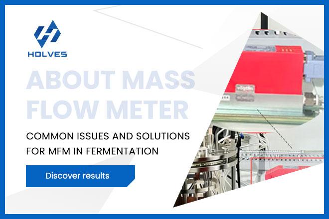 霍尔斯（HOLVES）发酵罐