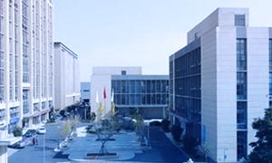 安徽霍尔斯