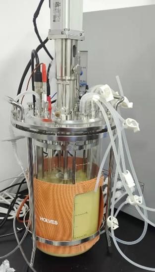 生物反应器 生物反应器