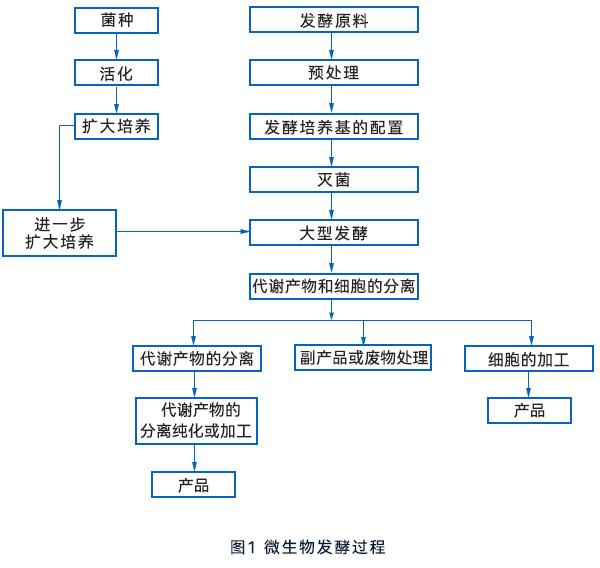 微生物发酵流程 微生物发酵流程