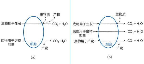 底物消耗的质量衡算图