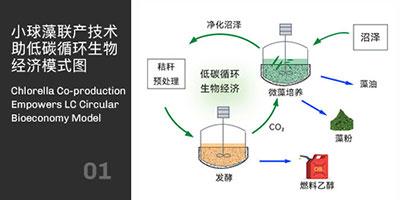 小球藻联产技术助力碳循环经济模式图
