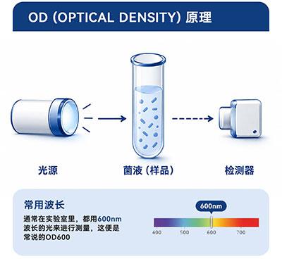 OD原理图解